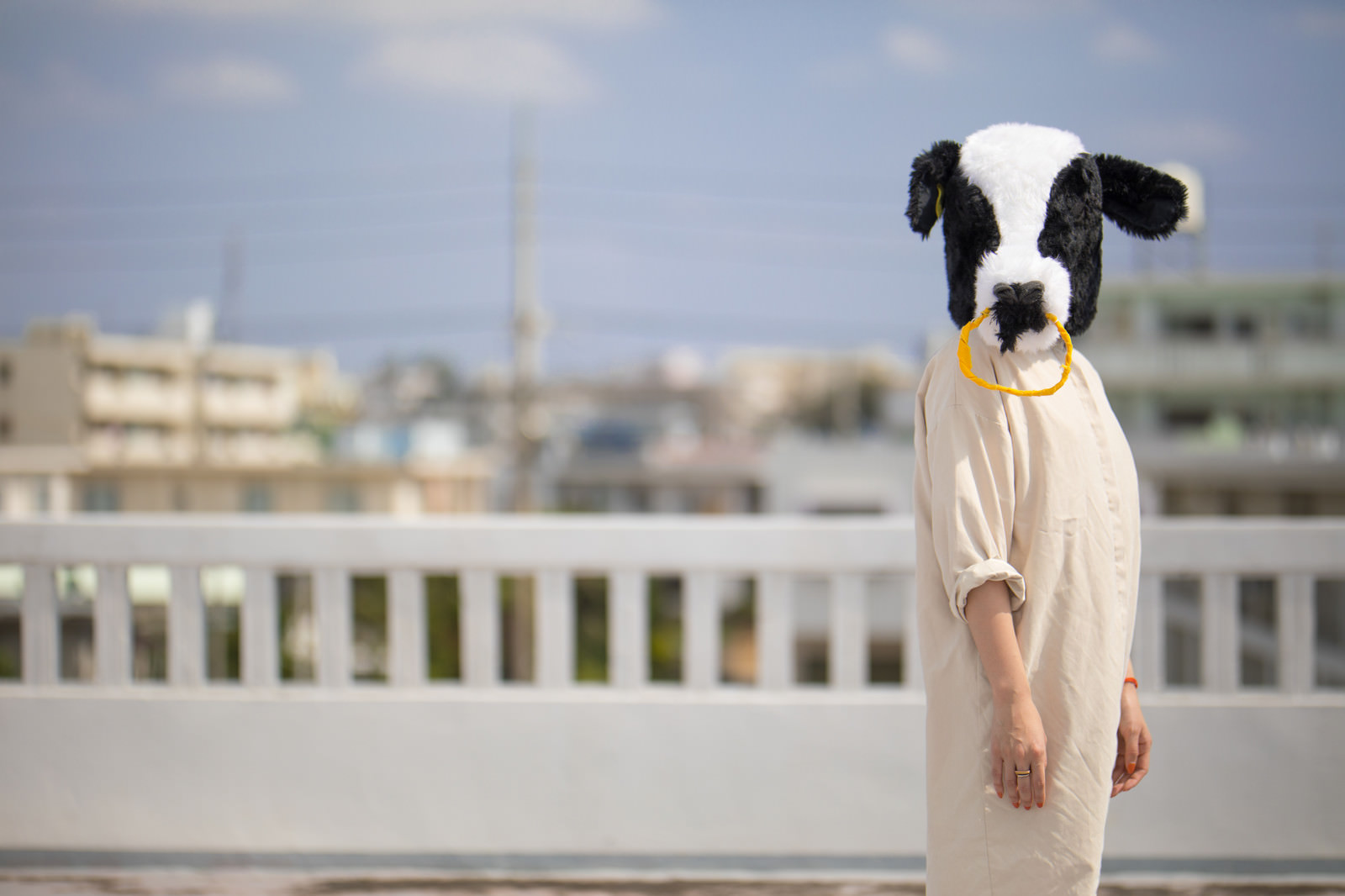 「立ちすくむ牛女立ちすくむ牛女」のフリー写真素材を拡大